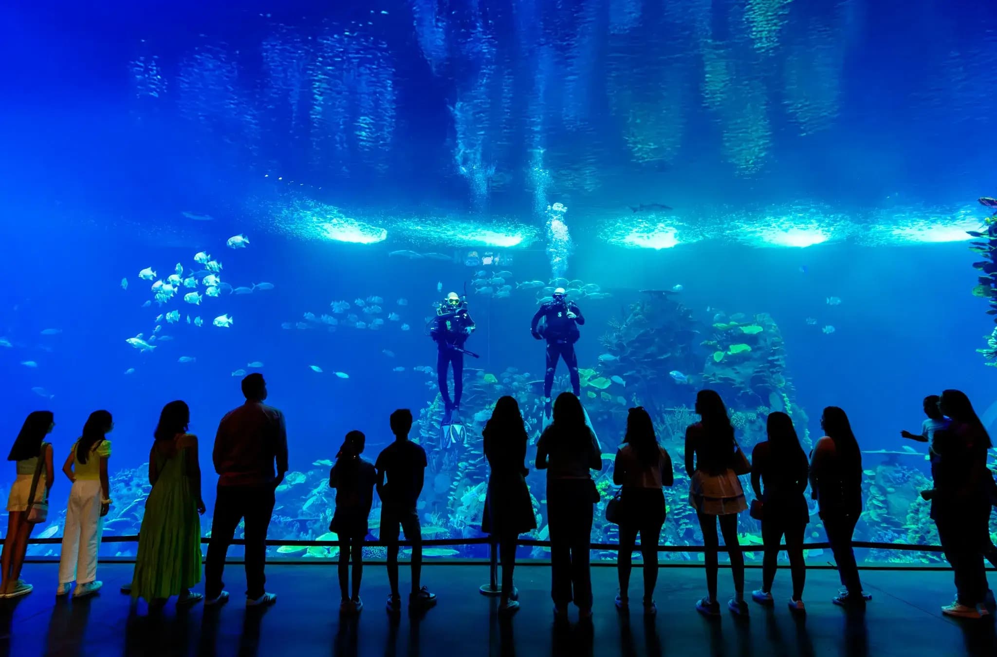 Acuario Mazatlán